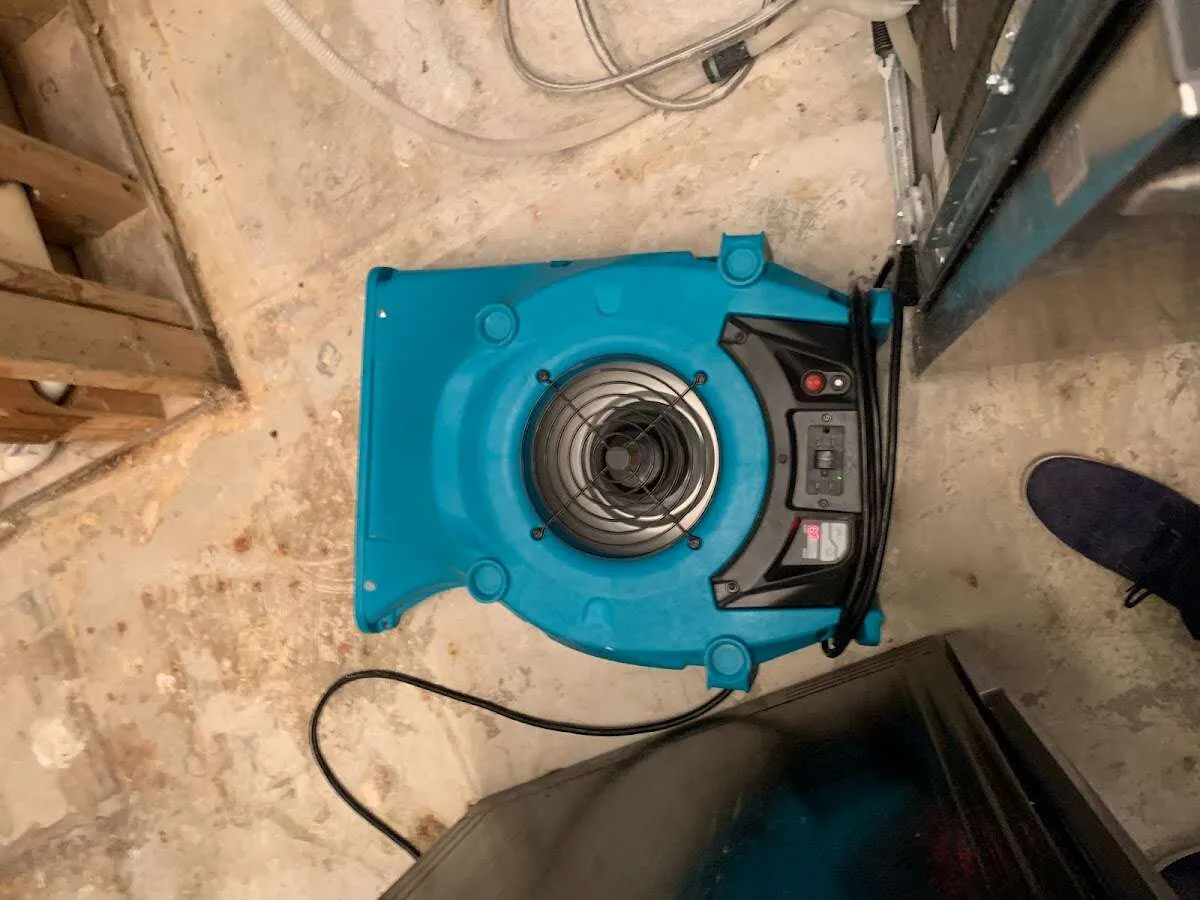 Air mover drying equipment for Mold Remediation & Removal in Guadalupe